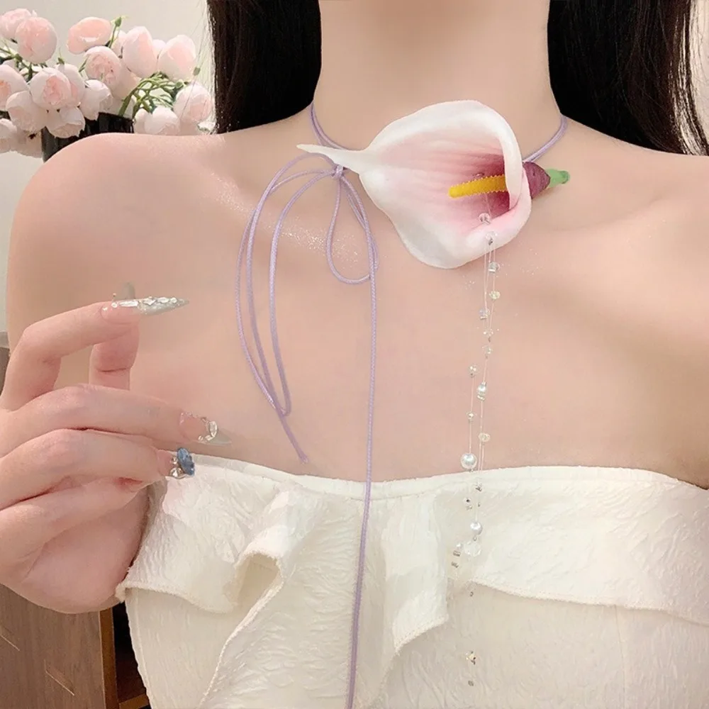 Moda przesadna Calla Lily wisi – String Of Pearls Plant recenzja i cena