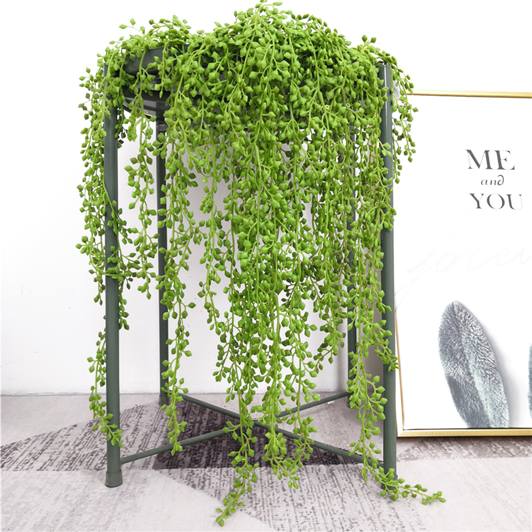 Sztuczna roślina winorośli wis – String Of Pearls Plant recenzja i cena